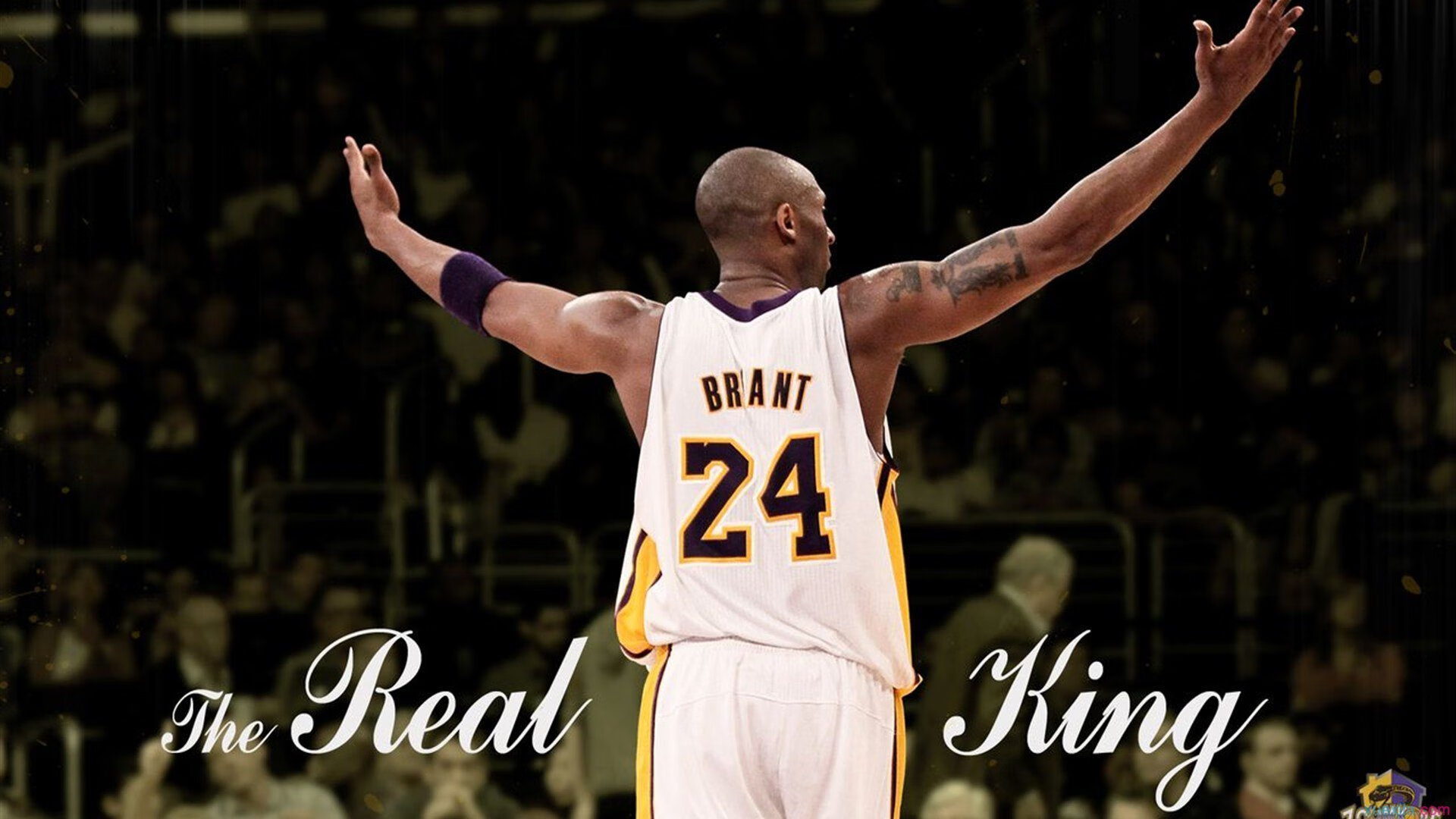 中国篮球正朝着世界水平迈进，中国篮球发展走向